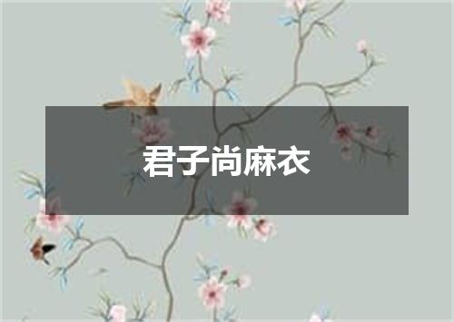 君子尚麻衣