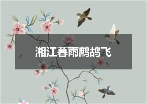 湘江暮雨鹧鸪飞