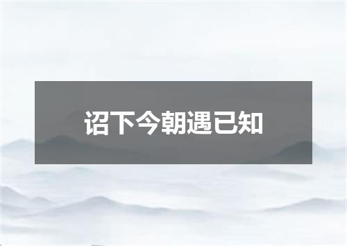 诏下今朝遇已知