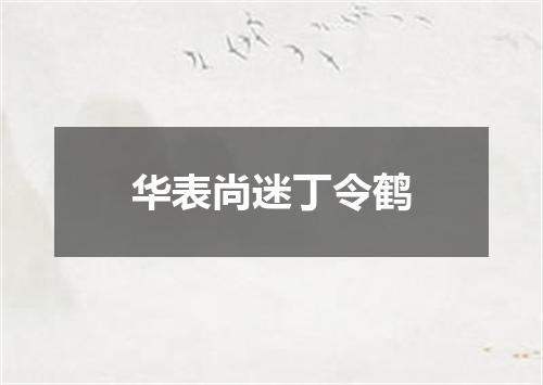 华表尚迷丁令鹤