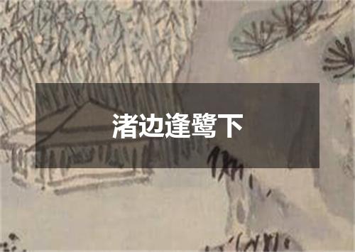 渚边逢鹭下