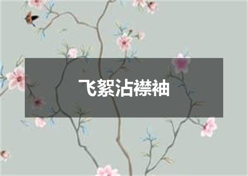 飞絮沾襟袖