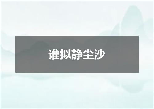 谁拟静尘沙