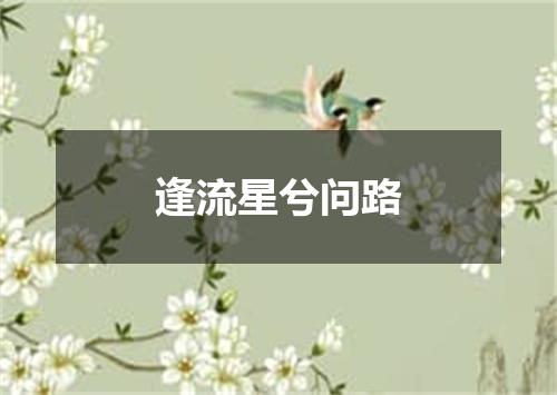 逢流星兮问路
