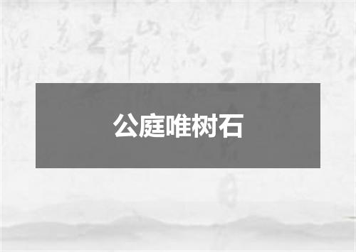 公庭唯树石