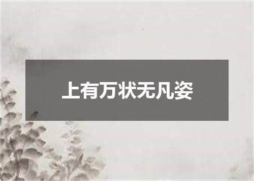 上有万状无凡姿