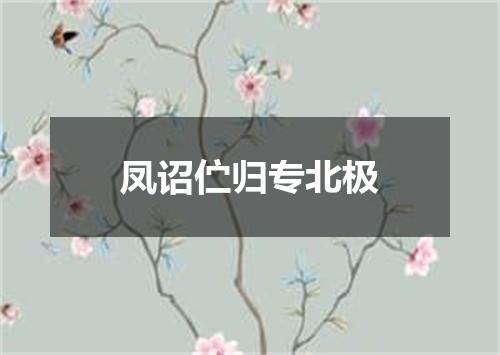 凤诏伫归专北极