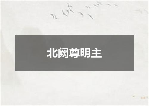 北阙尊明主