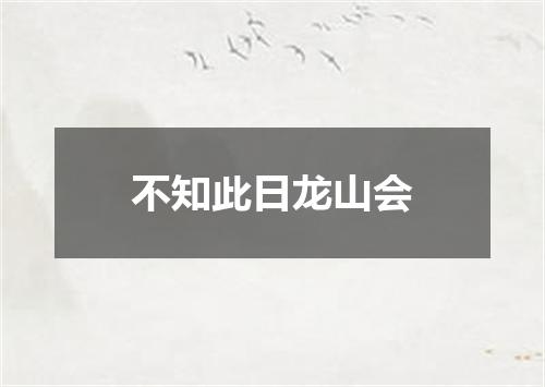 不知此日龙山会