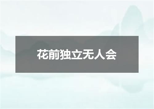花前独立无人会