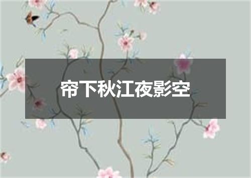 帘下秋江夜影空