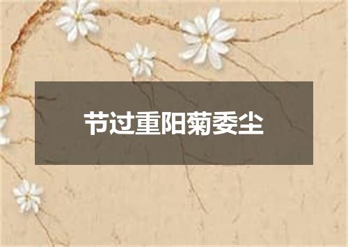 节过重阳菊委尘