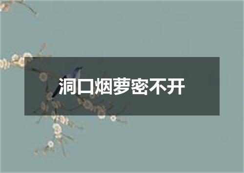 洞口烟萝密不开