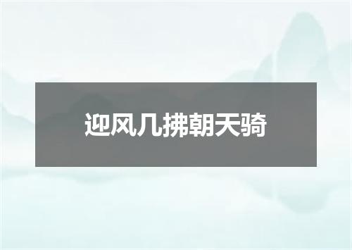 迎风几拂朝天骑