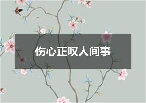 伤心正叹人间事