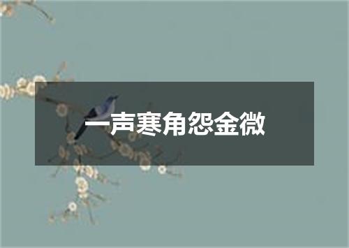 一声寒角怨金微