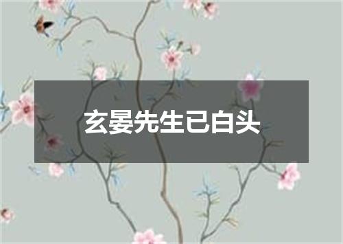 玄晏先生已白头