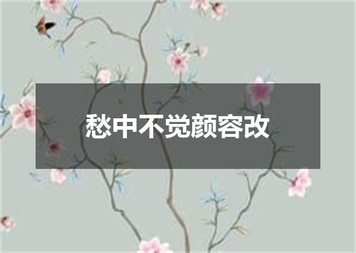 愁中不觉颜容改