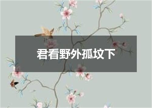 君看野外孤坟下