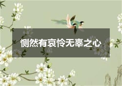 恻然有哀怜无辜之心