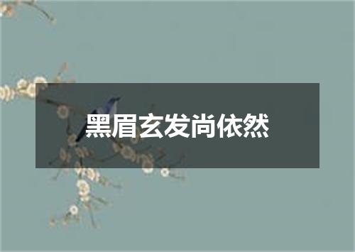 黑眉玄发尚依然