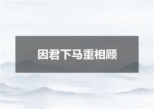 因君下马重相顾