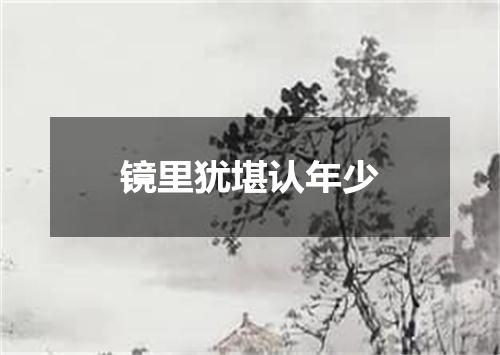 镜里犹堪认年少