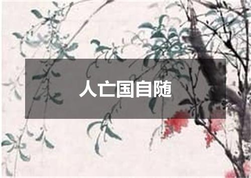 人亡国自随