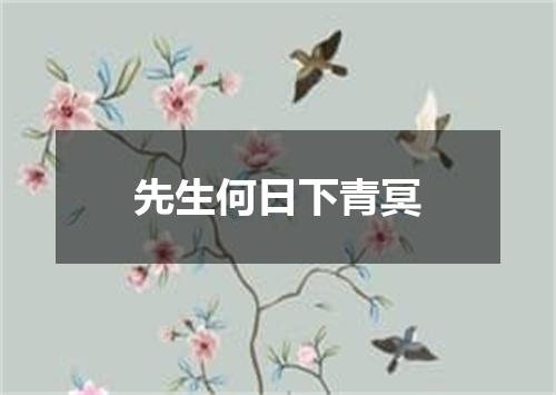先生何日下青冥