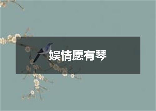 娱情愿有琴