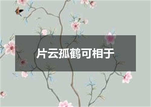 片云孤鹤可相于