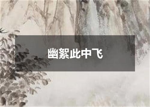 幽絮此中飞