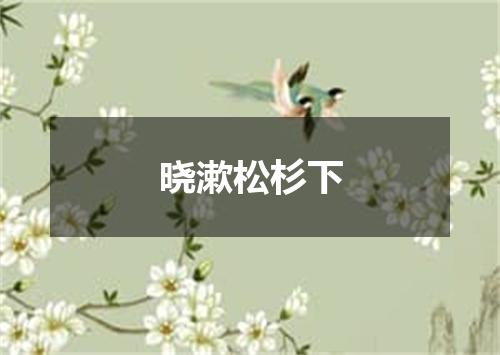 晓漱松杉下