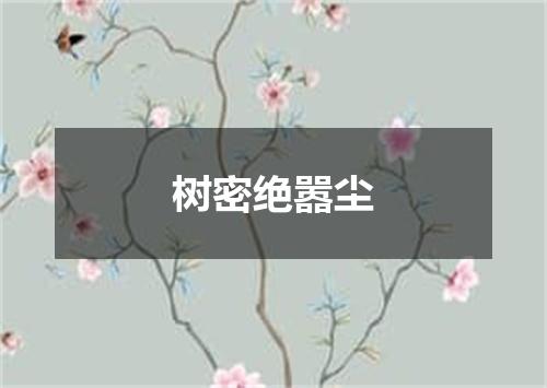 树密绝嚣尘