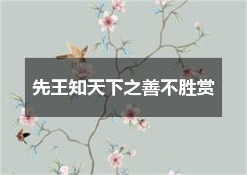 先王知天下之善不胜赏
