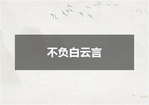 不负白云言