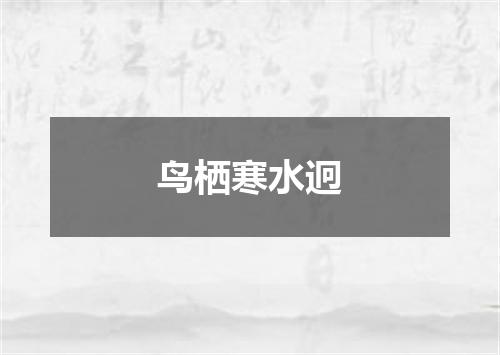 鸟栖寒水迥