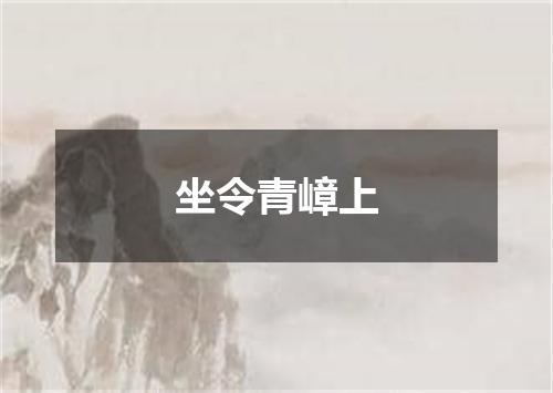 坐令青嶂上