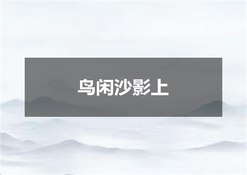 鸟闲沙影上