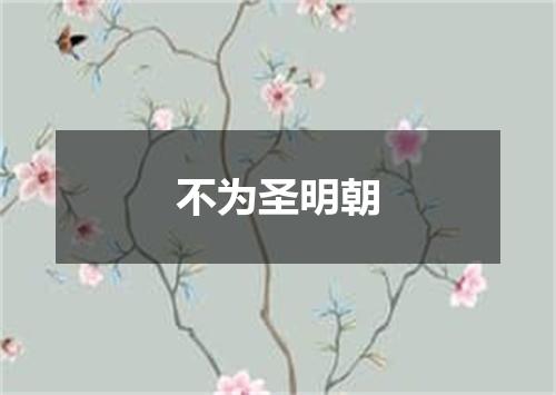 不为圣明朝