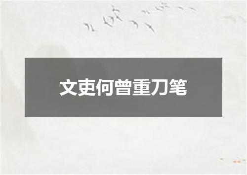 文吏何曾重刀笔