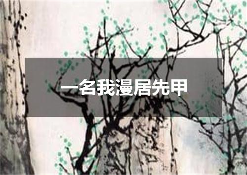一名我漫居先甲