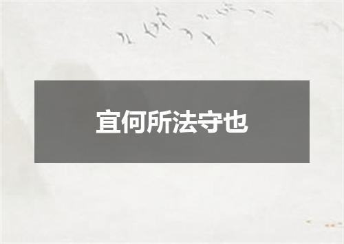 宜何所法守也