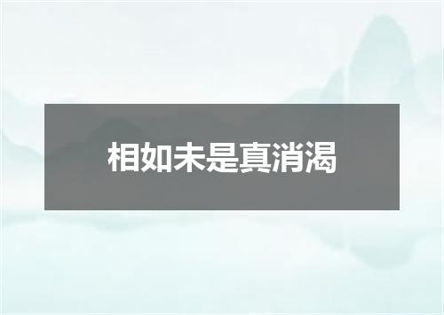 相如未是真消渴
