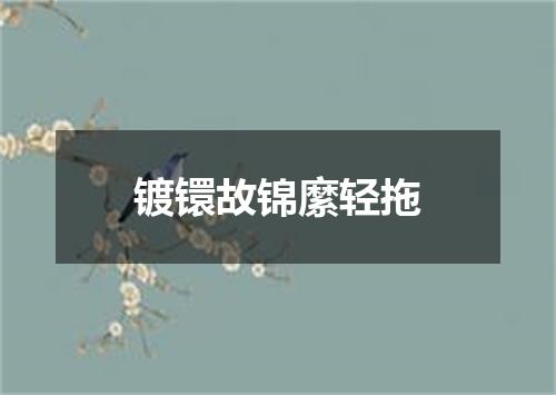 镀镮故锦縻轻拖