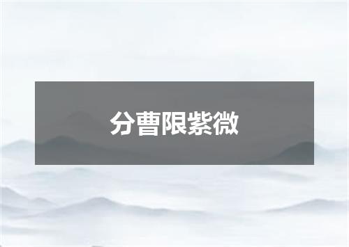 分曹限紫微