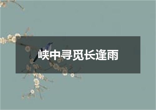 峡中寻觅长逢雨