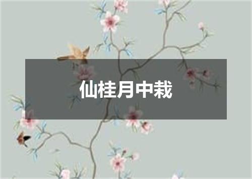 仙桂月中栽