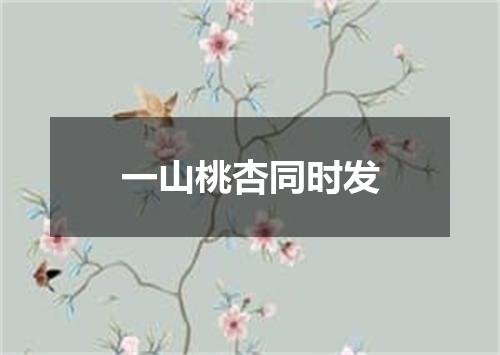 一山桃杏同时发