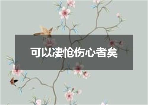 可以凄怆伤心者矣